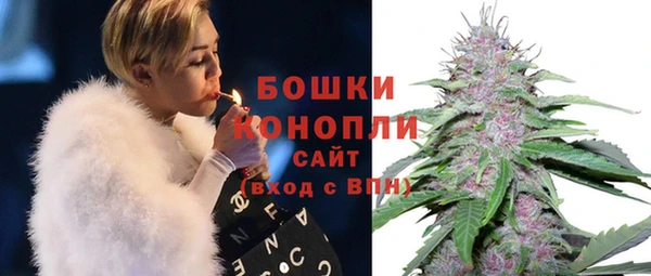 дживик Бронницы