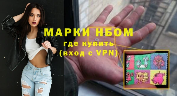 дживик Бронницы