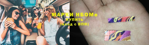 PSILOCYBIN Бородино