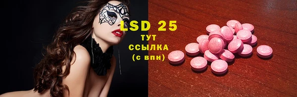 PSILOCYBIN Бородино