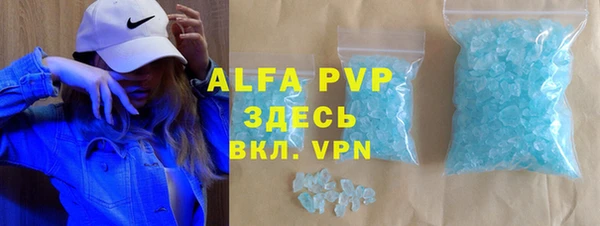 PSILOCYBIN Бородино