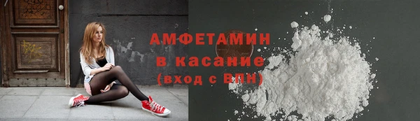 дживик Бронницы