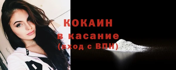 PSILOCYBIN Бородино