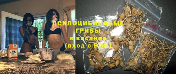 дживик Бронницы