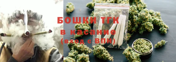PSILOCYBIN Бородино