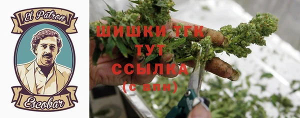 PSILOCYBIN Бородино