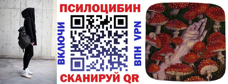 где продают Гулькевичи Галлюциногенные грибы Magic Shrooms