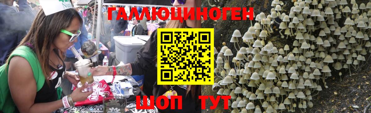 Псилоцибиновые грибы GOLDEN TEACHER Гулькевичи
